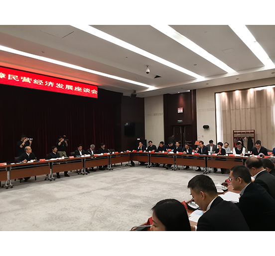 全國人大代表、方大集團董事長熊建明參加檢察機關(guān)服務(wù)保障民營經(jīng)濟發(fā)展調(diào)研座談會